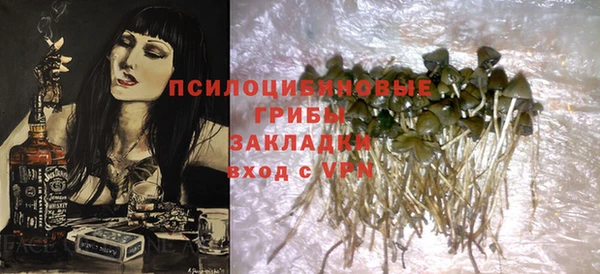 шишки Абаза
