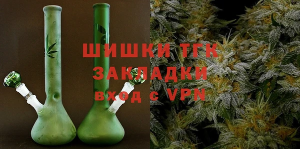 шишки Абаза