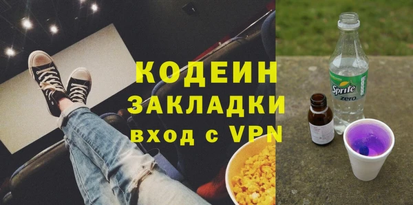 шишки Абаза