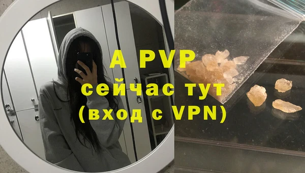 шишки Абаза