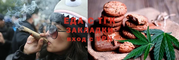 шишки Абаза