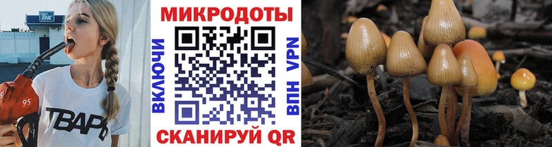 Псилоцибиновые грибы мицелий  магазин продажи   Усмань 